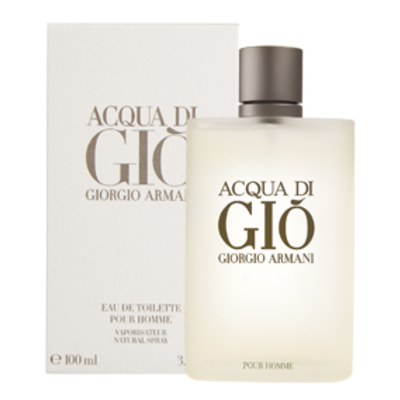 Standart acqua di gio for men by giorgio armani eau de toilette spray 100
